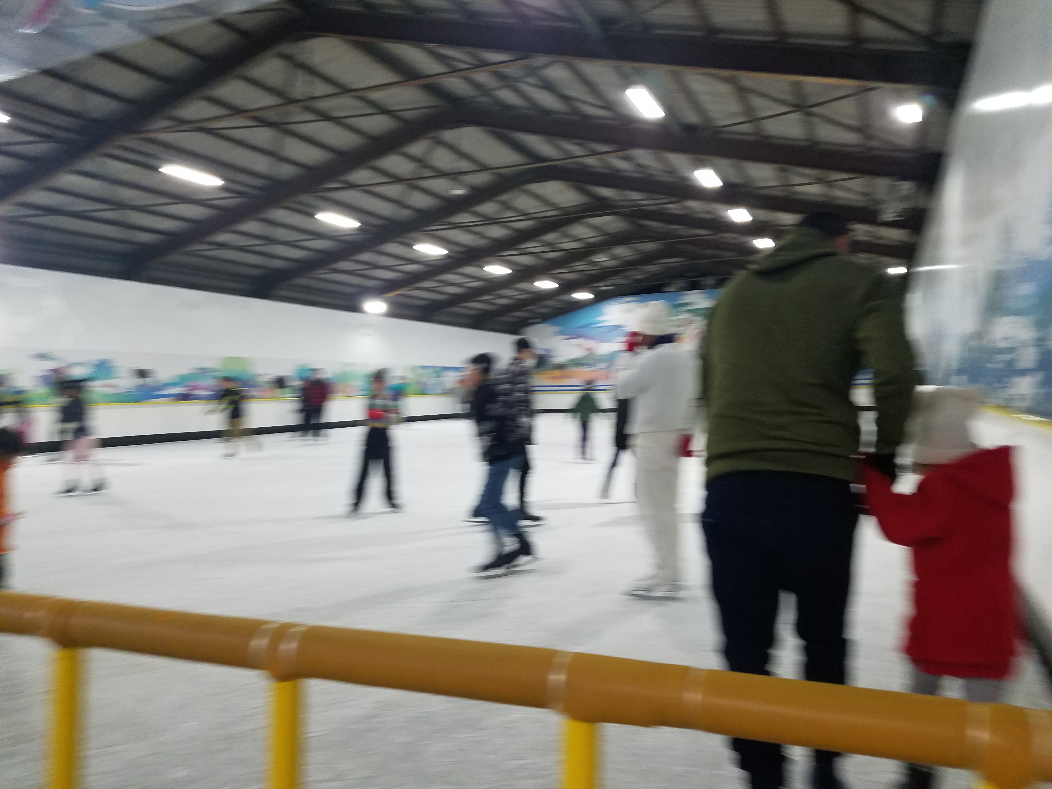 宇都宮 スケート センター